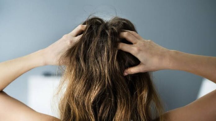 Une infusion d'oignon pour les cheveux : un remède maison pour favoriser la pousse et renforcer les cheveux ?